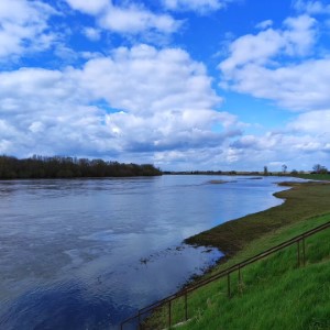 À force de rendre visite à @ffederbe et @nono_in_countryside, ce compte sera bientôt soumis au lobby du Loiret (après celui des Ardennes).#france #landscape